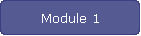 Module 1