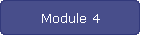 Module 4