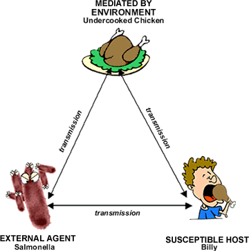 Prevent Infection Transmission: The Epidemiologic Triangle